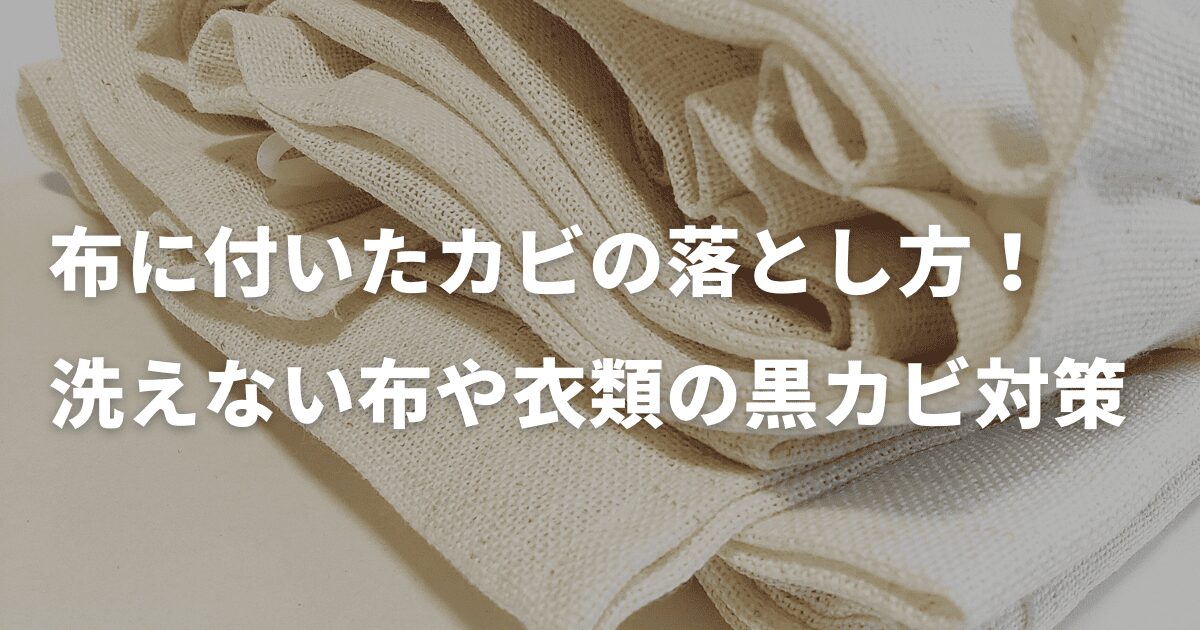 布に付いたカビの落とし方！洗えない布や衣類の黒カビ対策